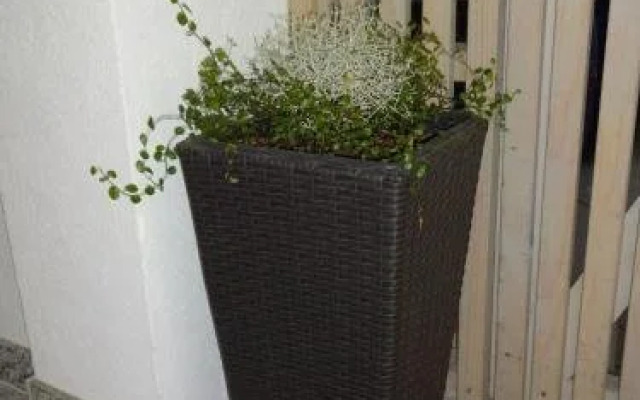 Appartement Alexandra