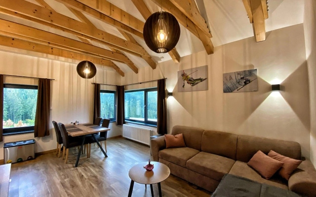 Apartments Severka - Jasná