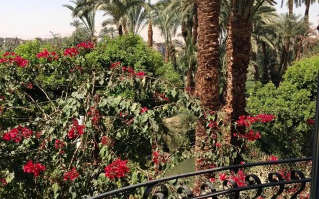 Villa Tutmouss