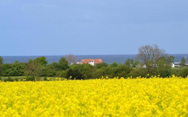Steiner Strandappartements Appartement 204 Seeseite