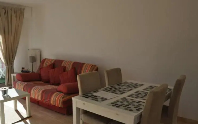 Lavandin Montpellier