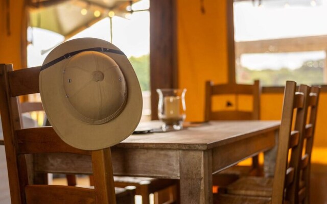 Luxury Safari Lodge Surrounded by Deer!! 'fallow'