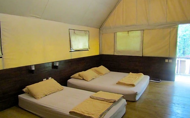 Lawu Forest Camp