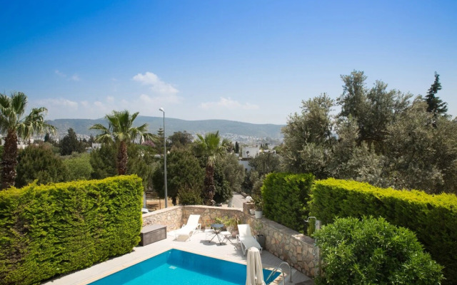 Important Group Villa Olivia