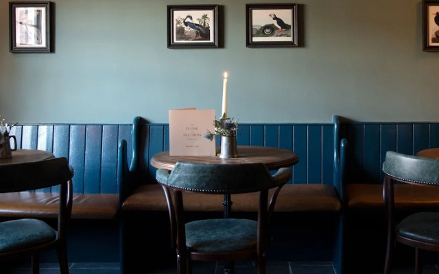 The Plume of Feathers