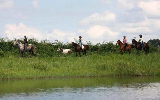 First Group Midlands Saddle and Trout