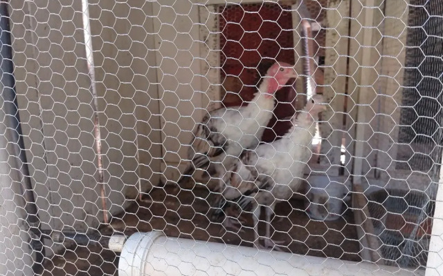 Pousada Maibe Amanhecer na Serra