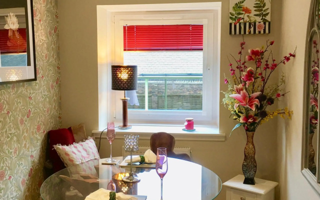 The Little Beech Tree