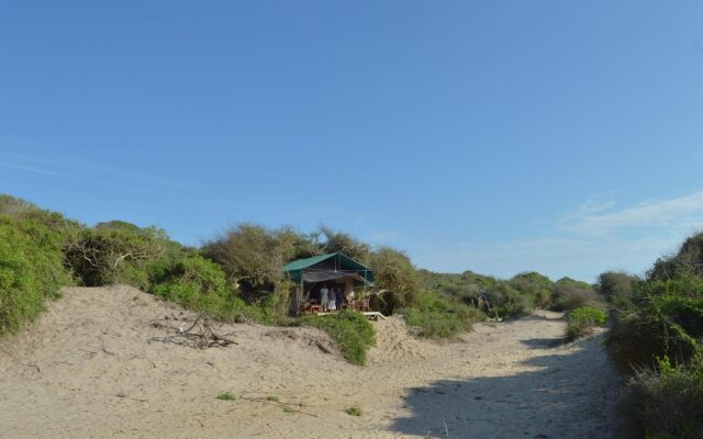 Back of Beyond Dune Camp - Yala