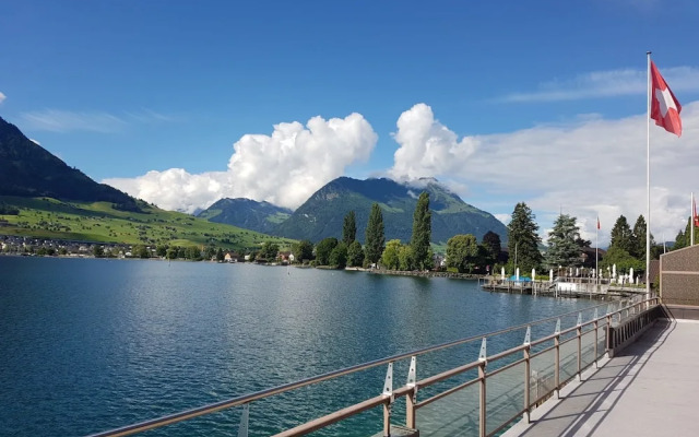 Seestern am See mit Motorboot Ennetb Rgen