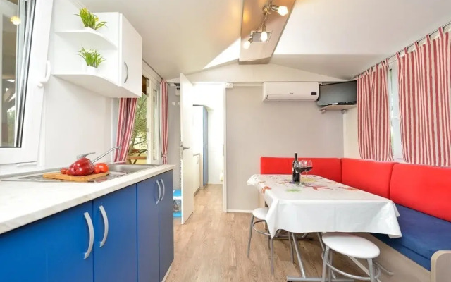 Iva - Great Garden - H