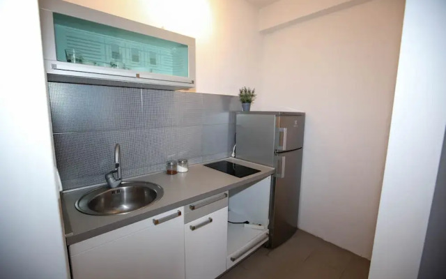 Unique Apartment Platnik