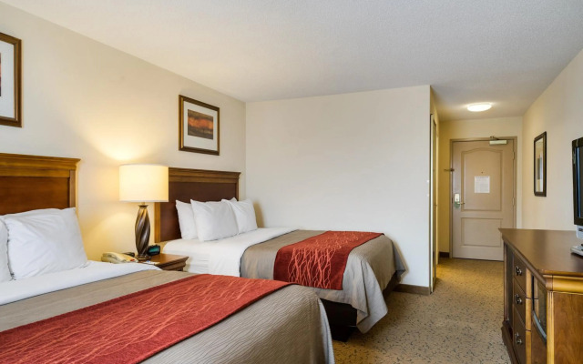 Comfort Inn & Suites Dover near Speedway