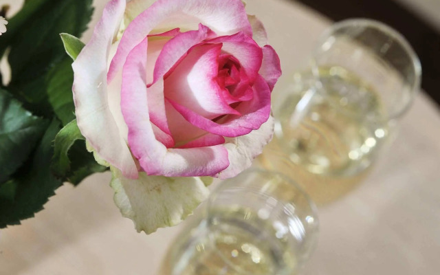 Hotel Seeschloss Sellin