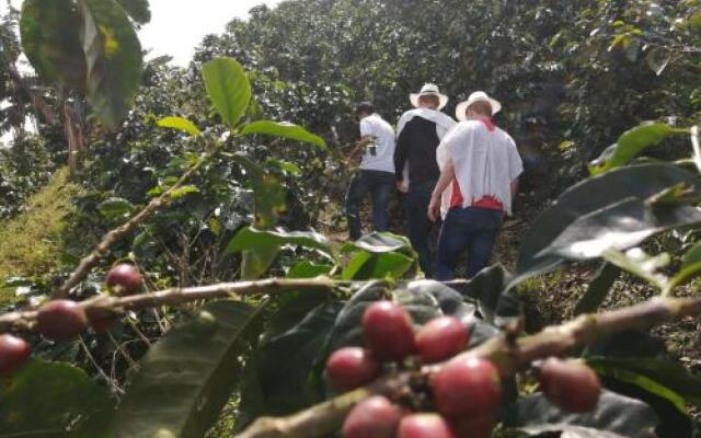 Finca turistica Santa Clara