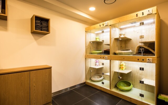 The Pettel Premium Suite