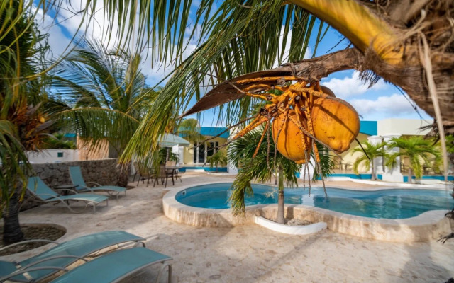 Aqua Viva Suites