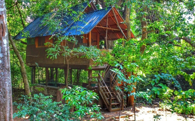 Book Jungle