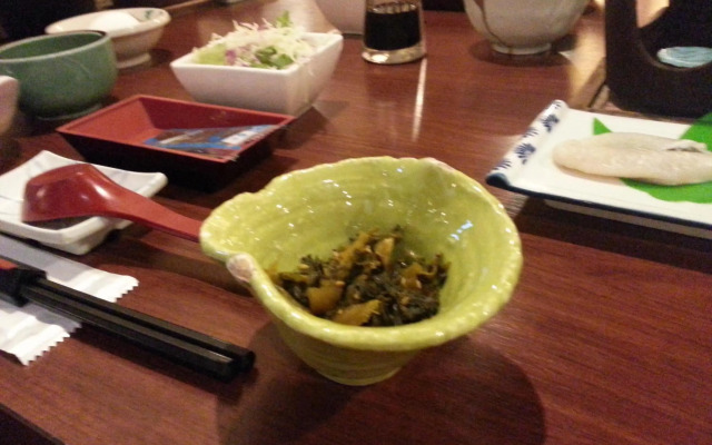 Private spa Hotel Kotone