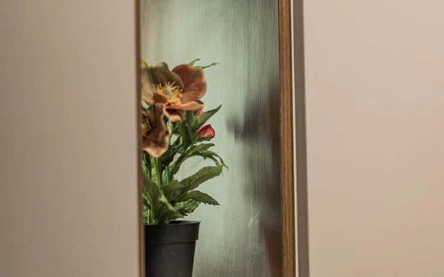 Zeus Design Apartments Schönbrunn