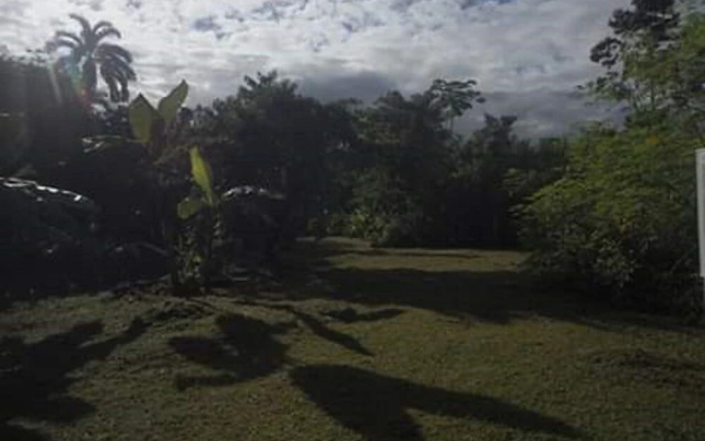 Rancho Verde de Osa