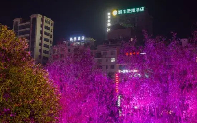 City Convenience Hotel (Lichuan Railway Station)