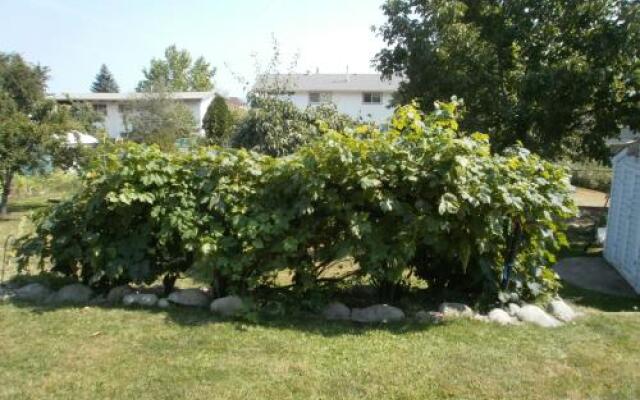 Wine Stopper B&B