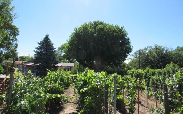 Red Horse Bed and Breakfast