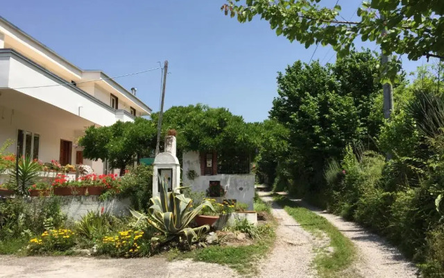 Secret pearl! Amalfi Coast, Pompei & Naples Free parking