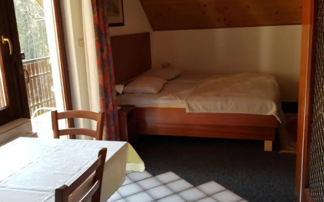 Apartment Dobnikar