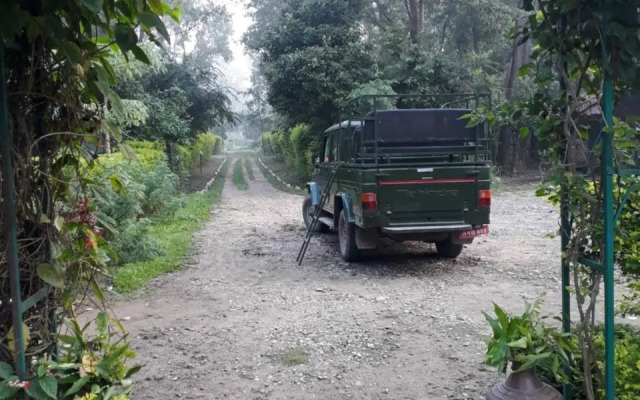 Suklaphanta Jungle Cottage