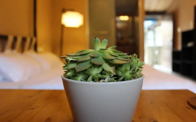 Xitang Ruozhiyoulan Putike Inn