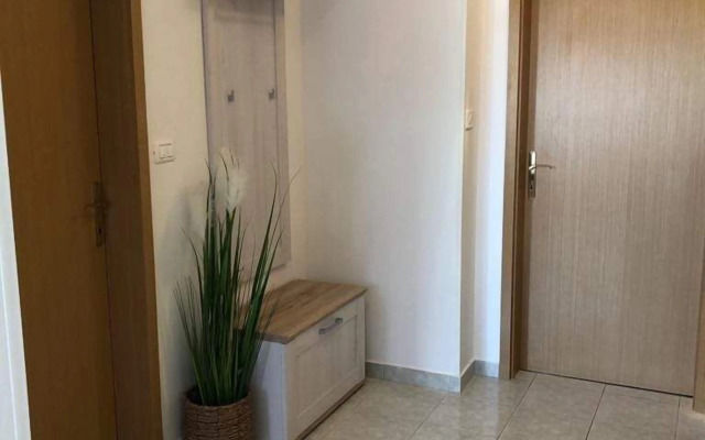 Apartments Romina- 50m from the Sea