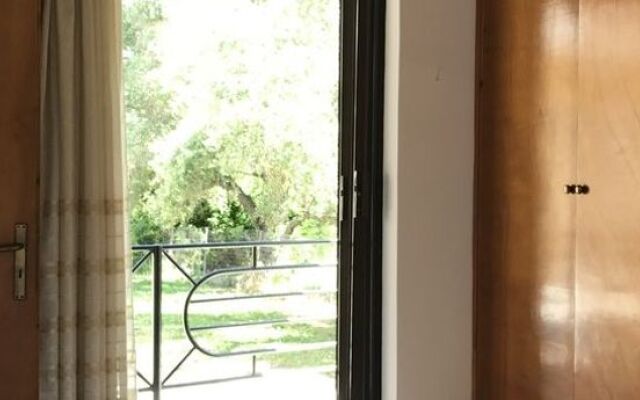 Aelia Studios
