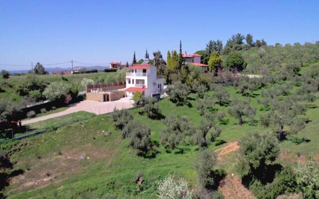 Villa Lion