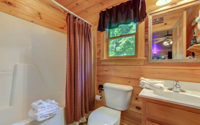 Bearly Makin It by Vtrips