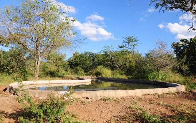 Panzi Lodge