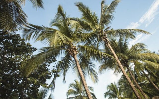 Viva Vacation Club at Viva Wyndham Dominicus Beach