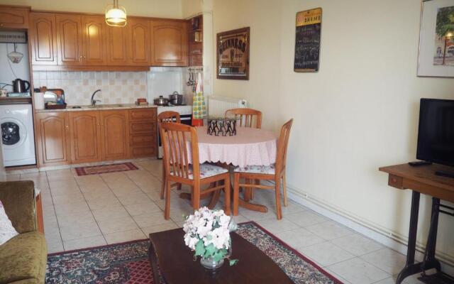 Sunny apartment near the center