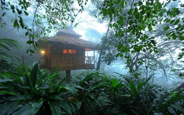 Vanya Tree House