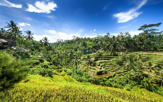 Le Meridien Bali Jimbaran