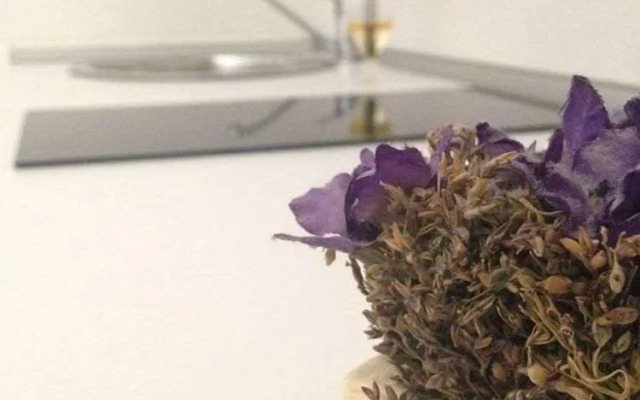 Agriturismo Corte Zuccone