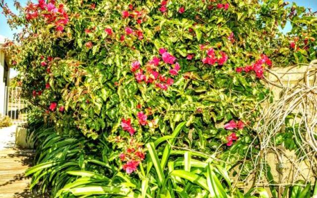 Halls Head Holiday Home