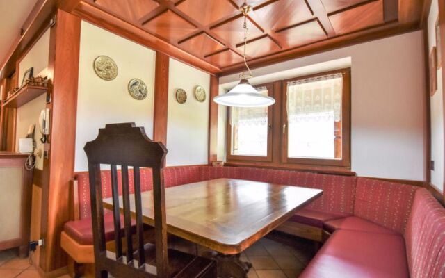 Cesa Galaldriel 29973