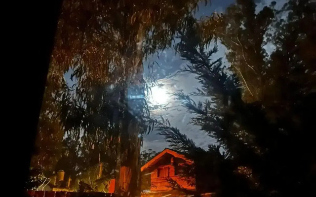 Bosque Peralta Ramos Cabañas Nalu 2