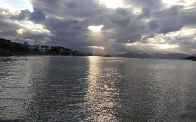 Tartaruga Azul