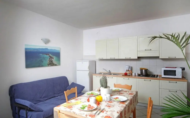 Camping Garden Tourist