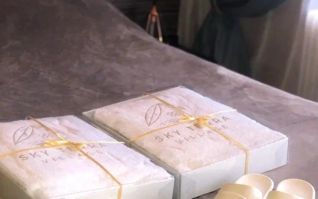 SkyTerraVillage (СкайТерраВилладж)