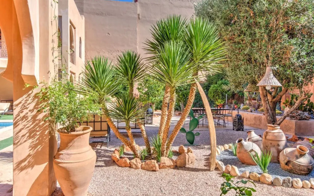 Riad Janoub