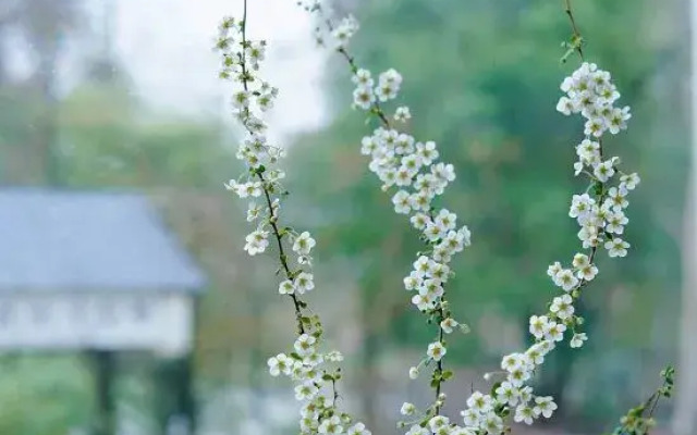 Yichuan Yisu River View Senxi Hostel